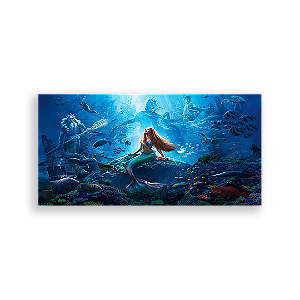 Painel Retangular - A Pequena Sereia - Sublimado 3D