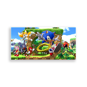 Painel Retangular - Sonic - Sublimado 3D