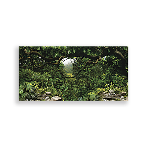 Painel Retangular - Fundo-Floresta-Dinossauro -Vivi - Sublimado 3D