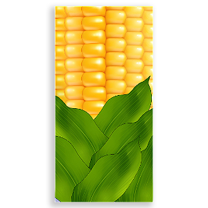 Capa Faixa Lateral Sublimado - Festa Junina