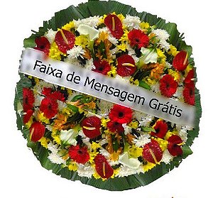 Flagras de sexo brasileiro caseiro Comendo a buceta branquinha