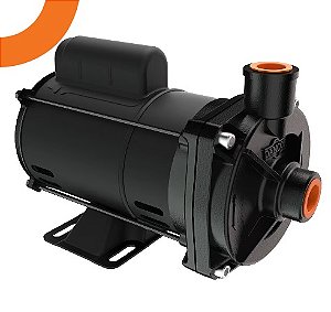 BOMBA PRATIKA CP-4R 1/2CV M 127/220/254V FC122