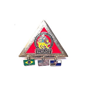 Pin Forever Faithful, triangulo com pingentes e fundo nas cores das classes