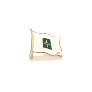 Pin, Bandeira Brasília