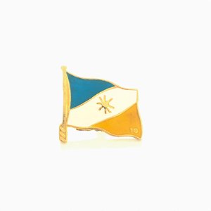 Pin, Bandeira do Tocantins