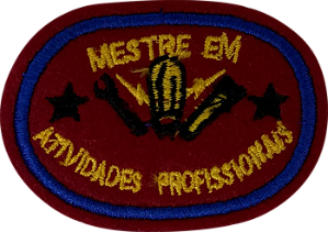 Mestrado em Atividades Profissionais
