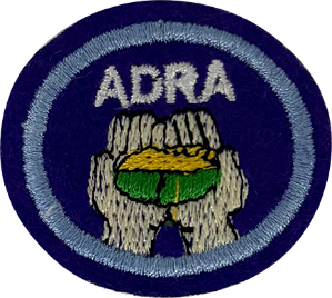 ESPECIDALIDADE DE ADRA - Alívio da Fome