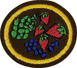 ESPECIALIDADE DBV ATIVIDADES AGRÍCULAS - Fruticultura 2