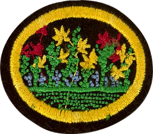 ESPECIALIDADE DBV ATIVIDADES AGRÍCULAS - Floricultura