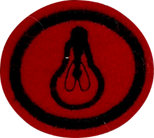 ESPECIALIDADE DBV PROFISSIONAIS - Eletricidade