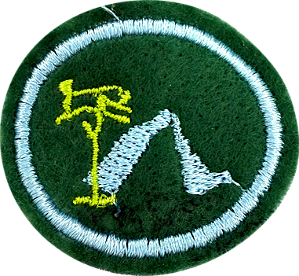 ESPECIALIDADE DBV ATIV. RECREATIVAS - Acampamento I