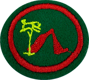 ESPECIALIDADE DBV ATIV. RECREATIVAS - Acampamento II