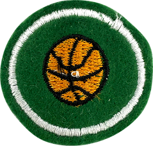 ESPECIALIDADE DBV ATIV. RECREATIVAS - Basquete