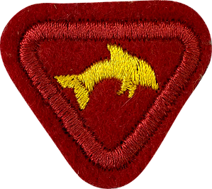 ESPECIALIDADE AVENTUREIROS, RECREATIVAS - Natação II