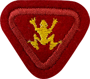 ESPECIALIDADE AVENTUREIROS, RECREATIVAS - Natação I