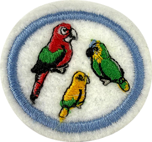 ESPECIALIDADE DBV NATUREZA - Araras, Papagaios e Piriquitos