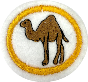 ESPECIALIDADE DBV NATUREZA - Camelos