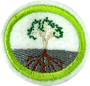 ESPECIALIDADE DBV NATUREZA - Fisiologia Vegetal
