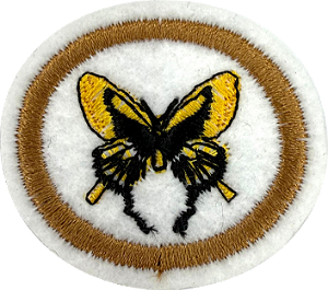 ESPECIALIDADE DBV NATUREZA - Mariposas e Borboletas
