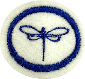 ESPECIALIDADE DBV NATUREZA - Odonata