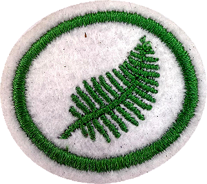 ESPECIALIDADE DBV NATUREZA - Samambaias