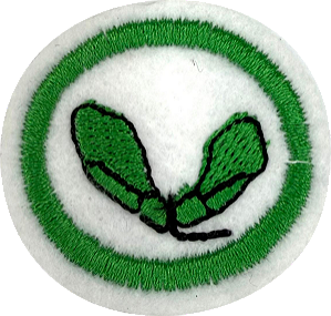 ESPECIALIDADE DBV NATUREZA - Sementes