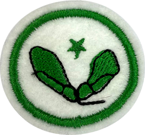 ESPECIALIDADE DBV NATUREZA - Sementes - Avançado