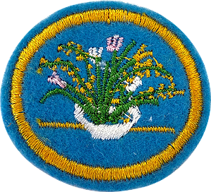 ESPECIALIDADE DBV ARTES E HABILIDADES MANUAIS - Ornamentações com Flores
