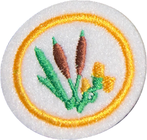 ESPECIALIDADE DBV NATUREZA - Plantas Silvestres Comestíveis