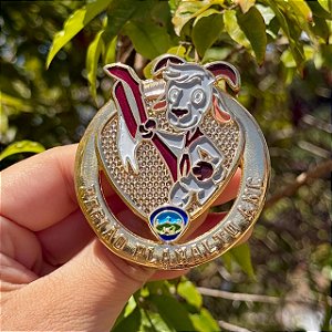 ARGANÉU/PRENDEDOR DE LENÇO, REGIÃO PLANALTO ANC