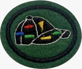 ESPECIALIDADE DBV ATIV. RECREATIVAS, TROCA DE PINS