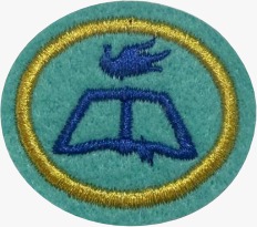 ESPECIALIDADE DBV ATIV. MISSIONÁRIAS E COMUNITÁRIAS, DOM DE PROFECIA