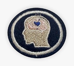 ESPECIALIDADE DBV ATIV. MISSIONÁRIAS E COMUNITÁRIAS, INTELIGÊNCIA EMOCIONAL