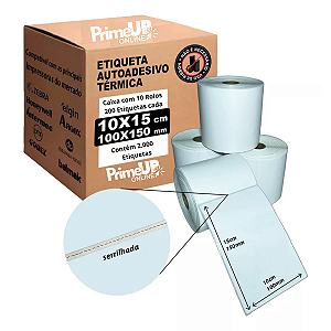 Etiqueta Térmica 100 x 150 mm para E-Commerce 10 Unidades