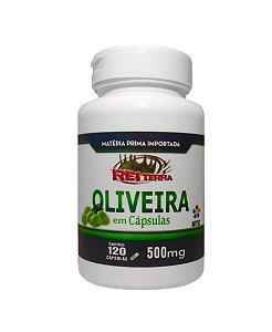 Extrato de Oliveira Acido Oleico 60 Cápsulas 500 mg