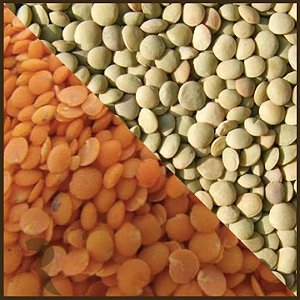 Lentilha - 100g (a granel)