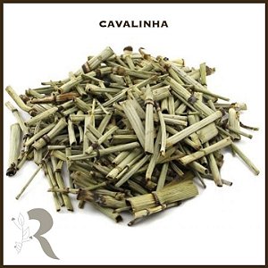 Cavalinha - 100g (a granel)