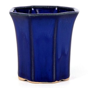 Vaso Mame Para Kengai e Han kengai Octagonal Mizuno