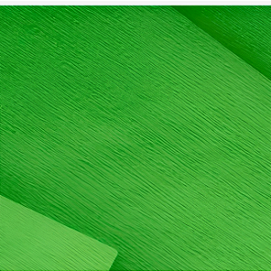 Papel Crepom 48cmx2m Verde Folha - Ridet