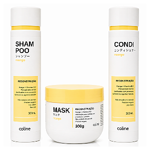 COMBO: 01 Shampoo + 01 Máscara + 01 Condicionador Mango