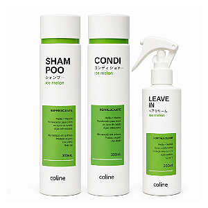 COMBO: 01 Shampoo + 01 Condicionador + 01 Leave-in Ice Melon