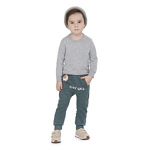 Calça masculina de moletom saruel, estampa dinossauro e aplique - Moda  casual e sleepwear para crianças de 0 a 16 anos| Bicho Bagunça