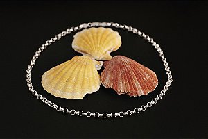 CORDÃO DE PRATA ELO PORTUGUÊS 45CM