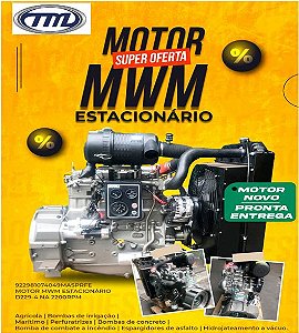 Motor 229 Completo Aspirado Novo Estacionario