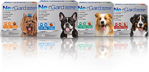 Antipulgas e Carrapatos NexGard para Cães