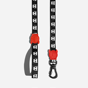 Guia para Cachorros Skull ZeeDog