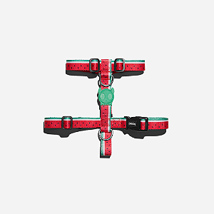 Peitoral para Cachorros H Lola ZeeDog