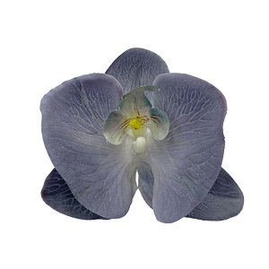 Porta Guardanapo Flor Orquídea - Azul