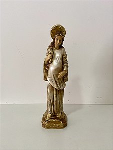 Imagem de Nossa Senhora Grávida 28cm Coleção OURO