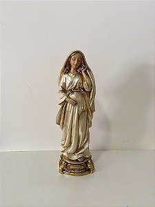 Imagem de Nossa Senhora Grávida 30cm Coleção OURO